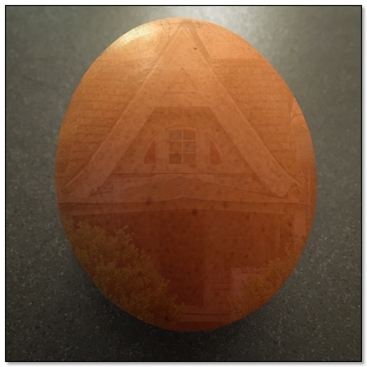 PLAYhouse in EGG